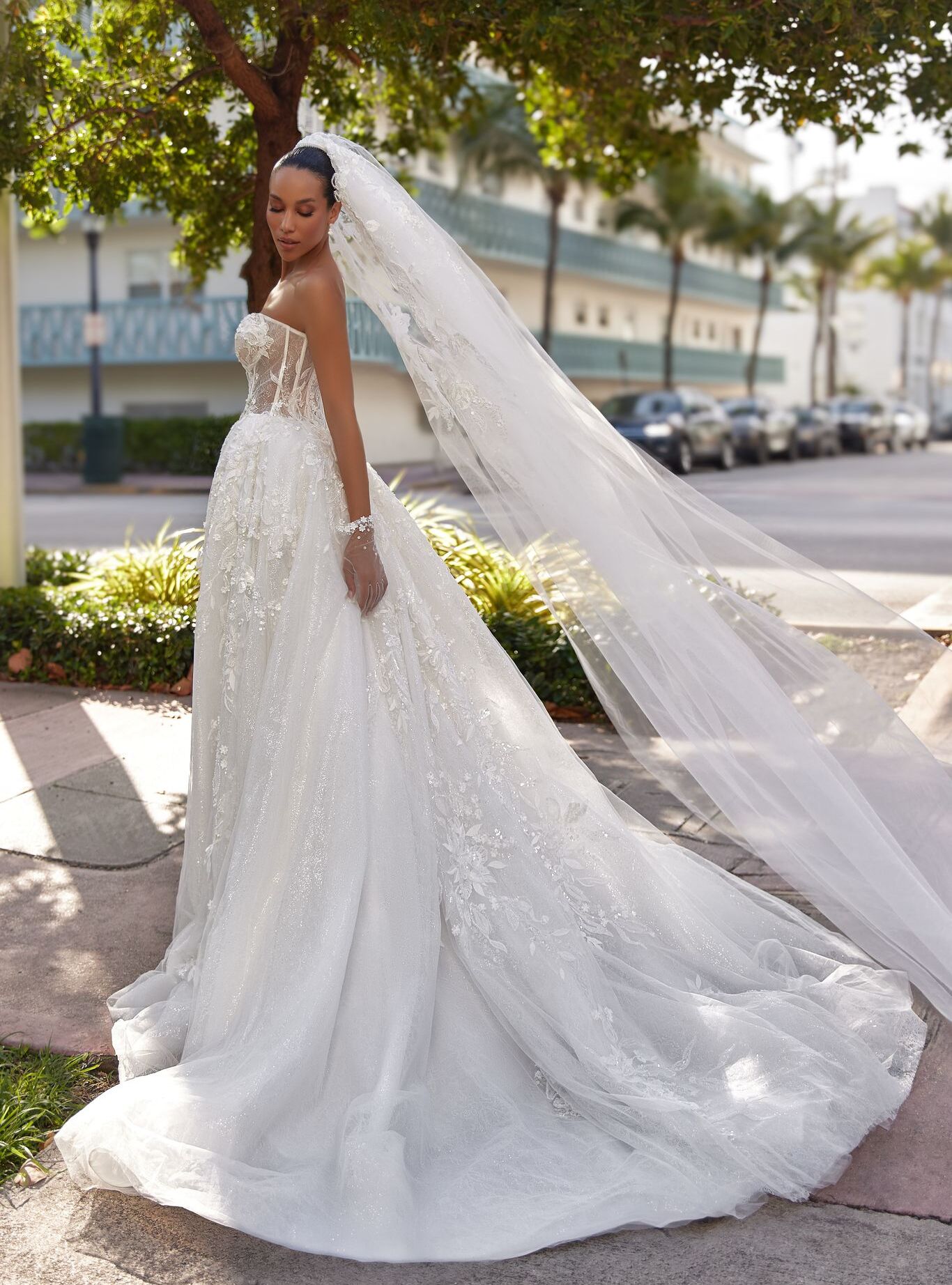photo of accessory dress Nerina veil: 